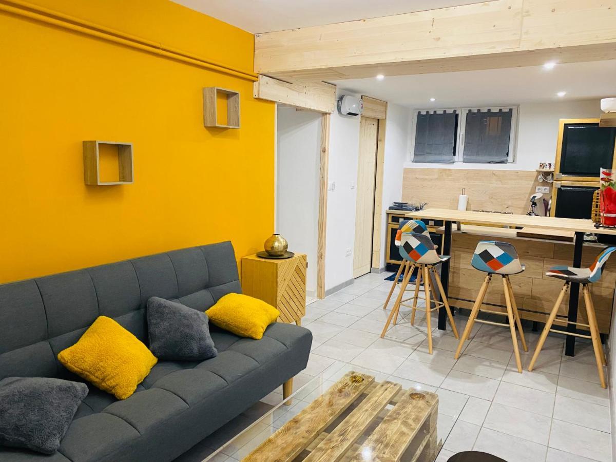 Studio 40M2 Plein Pied Avec Parking Jussac Exterior photo